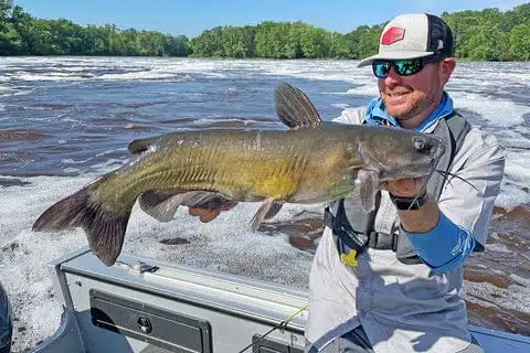 Buying Guides | Spinning Reel Fishing for Beginners 13 Catfish