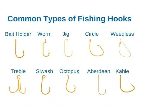 How to Keep Your Bait Securely on Your Hook: A Comprehensive Guide 2 Various types of fishing hooks displayed