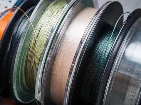 Various fishing lines on spools