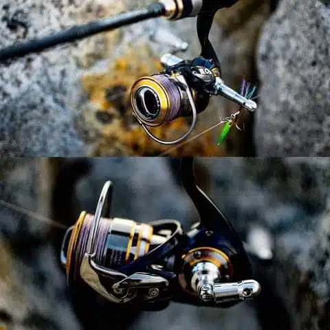 Protect Your Reel: The Importance of Reel Stands 2 Gomexu reel stand with reels