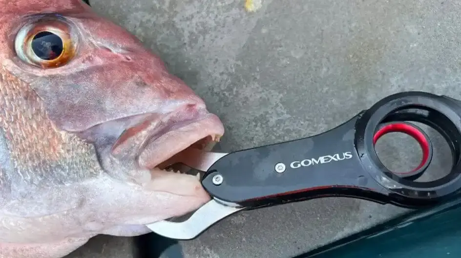 fish gripper tool