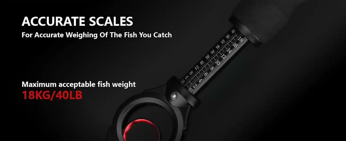 Weighs fish up to 18kg/40lb