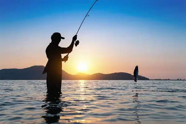 Inshore Fishing Ultimate Guide