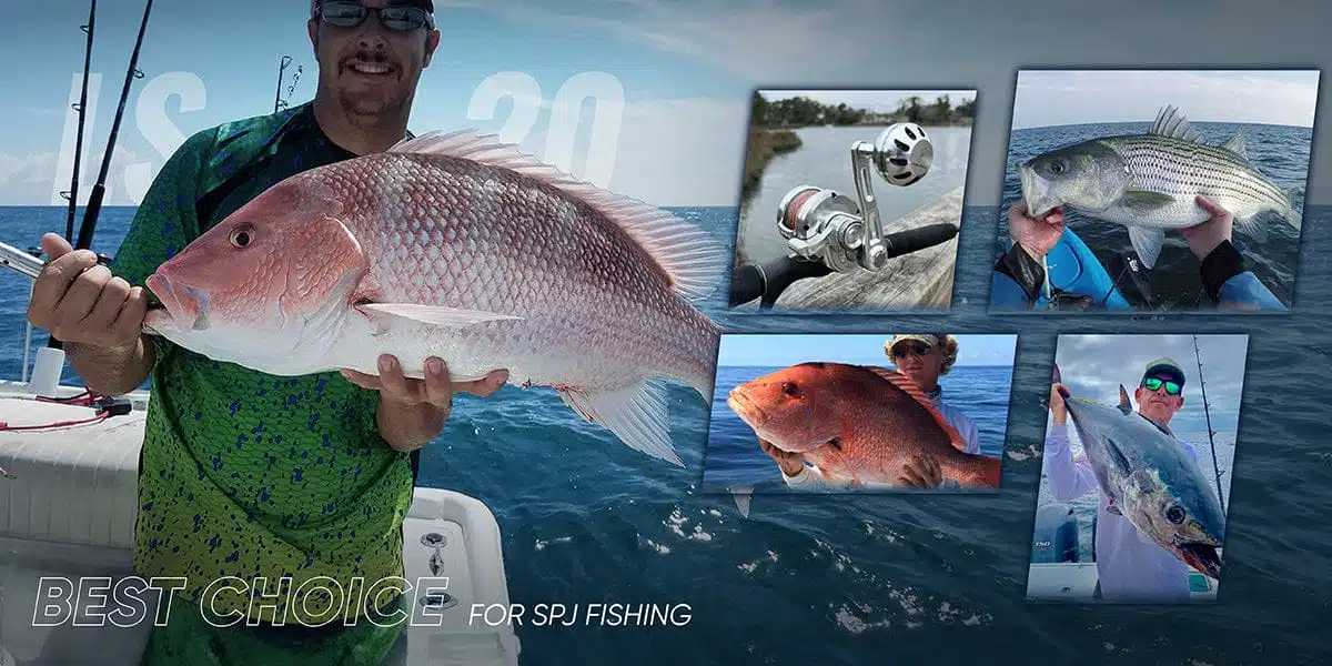 Best choice for SPJ fishing showcased