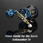 #color_For Ambassadeur C4