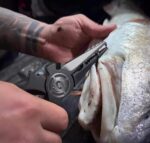 Gomexus Titanium Fishing Pliers 7'' for Inshore Fishing Swimbait Fishing Never Rust Split Ring Design - Image 11