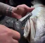 Gomexus Titanium Fishing Pliers 7'' for Inshore Fishing Swimbait Fishing Never Rust Split Ring Design - Image 11