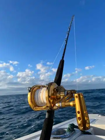 Reel in the Biggest Catch Yet with Our Handpicked Best Offshore Trolling Reels 4 Gomexus Saltwater Trolling Reel RA600D