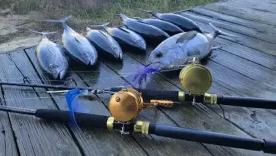 catch and release fishing tips：Reel-in-the-Biggest-Catch-Yet-with-Our-Handpicked-Best-Offshore-Trolling-Reels-