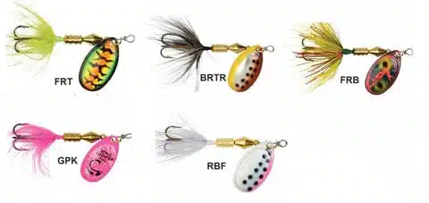 How to rig a rooster tail for success? 2 Colorful fishing lures in display