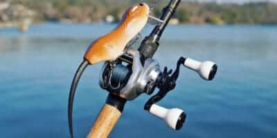 Shimano Tranx 300 Paddle Handle | Durable, Ergonomic Handle for Increased Casting Distance and Power 9 Shimano Tranx 300 Paddle Handle | Durable, Ergonomic Handle for Increased Casting Distance and Power