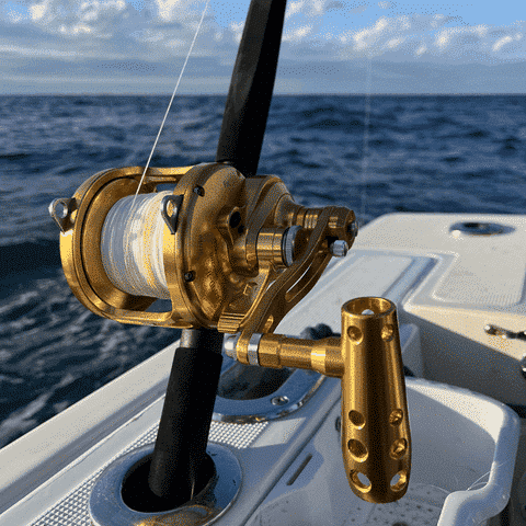 What time of day is best for deep-sea fishing?