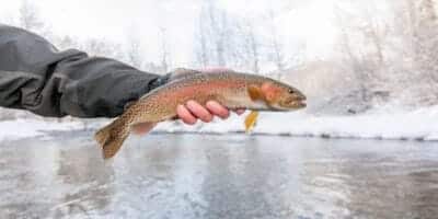 WinterFishcatching