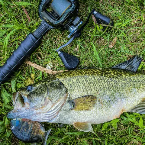 How To Cast with Baitcasting Low Profile Reels 4 Gomexus Power Handle with Flat Knob 110mm BDH-TPE35