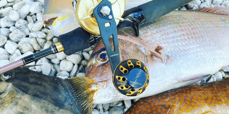 Buying Guides | Spinning Reel Fishing for Beginners