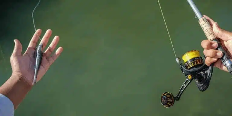 Daiwa Reel Handle Replacement Guide