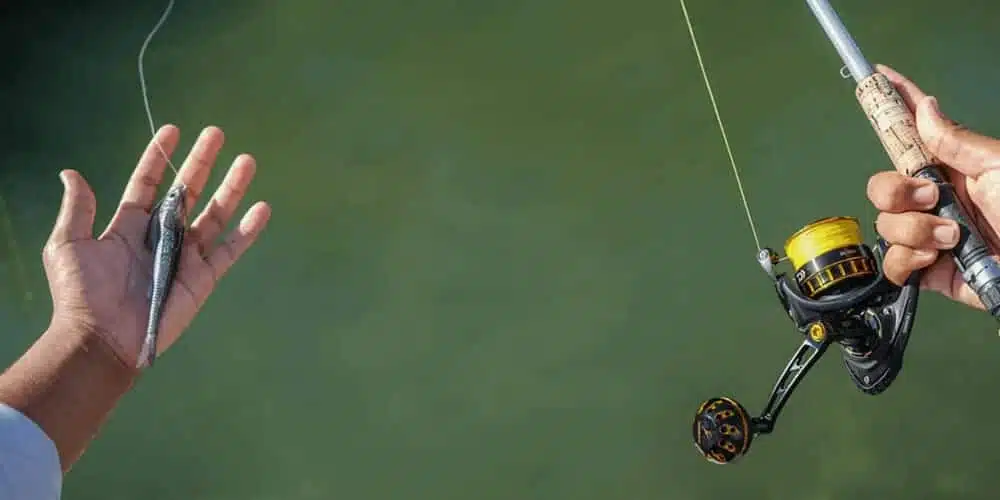 Daiwa Reel Handle Replacement Guide