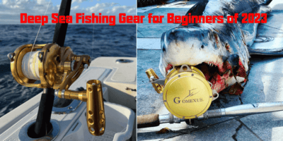 Deep Sea Fishing Gear for Beginners of 2023 8 Deep Sea Fishing Gear for Beginners of 2023