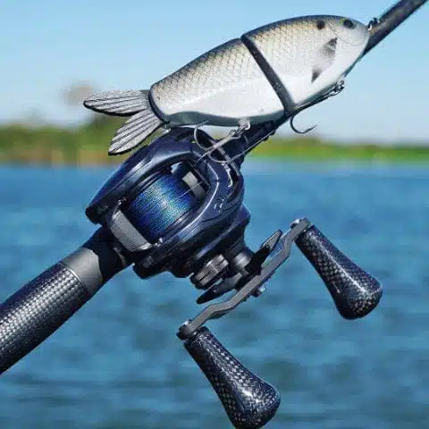 Fishing rod with swimbait attached.