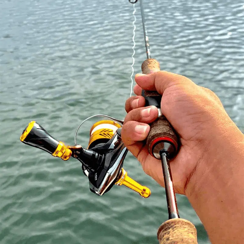 Gomexus power knob#color_Black Gold