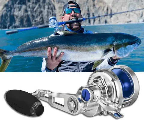 Florida fishing guide:fishing times + fishing locations + licenses 2 Florida fishing guide:fishing times + fishing locations + licenses