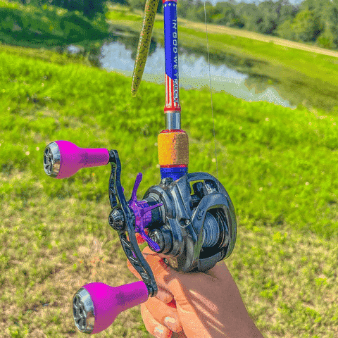 #color_Color Change Purple