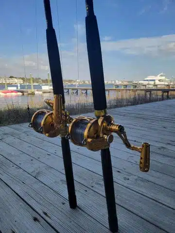 Gomexus Saltwater Trolling Reel RA600D