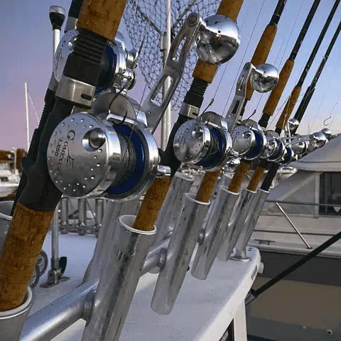 How to Clean a Reel and Care Guide After Fishing