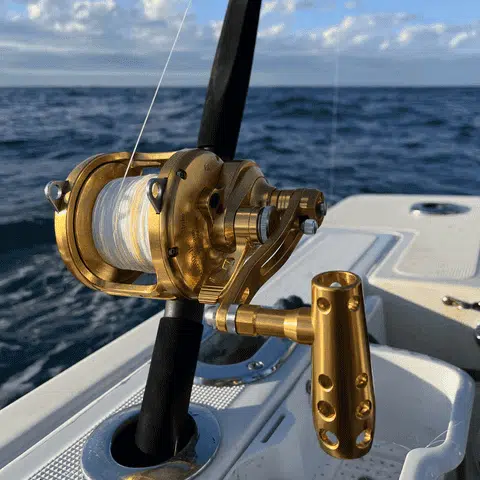 Gomexus suitable for grouper fishing reel