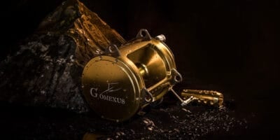 How to Clean a Reel and Care Guide After Fishing