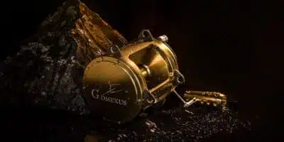 How to Clean a Reel and Care Guide After Fishing