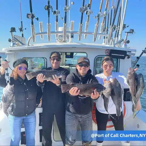 How to Clean a Reel and Care Guide After Fishing