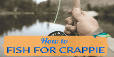 How to Fish for Crappie: The Ultimate Guide