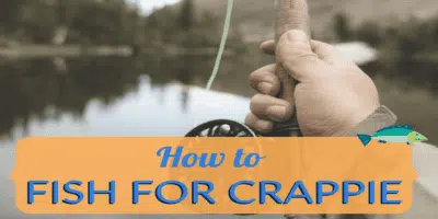How to Fish for Crappie: The Ultimate Guide
