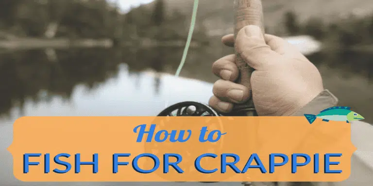 How to Fish for Crappie: The Ultimate Guide