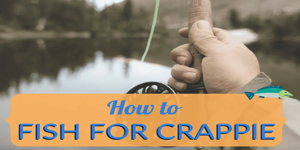 How to Fish for Crappie: The Ultimate Guide