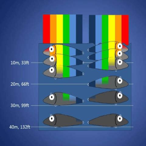 Chart showing how lure colors fade at different water depths underwater