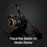 #color_For Okuma Ceymar