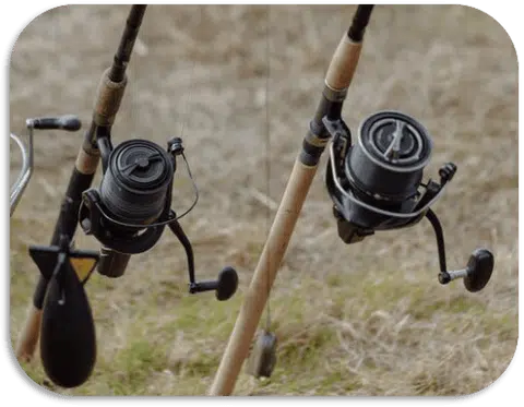 different fishing reels