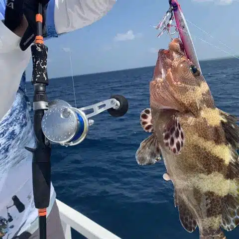 Best Saltwater Fishing Gear for Beginners of 2023 7 Saltwater Fishing Tips for Beginners