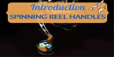 Spinning Reel Handles Introduction 8 Spinning Reel Handles Introduction