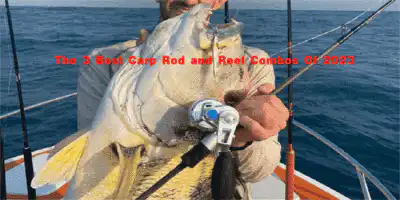 the 3 best carp rod and reel combos of 2023