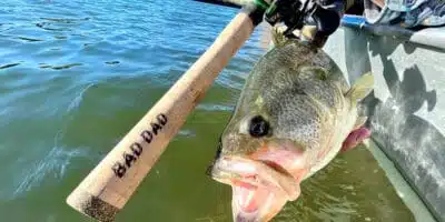 The Beginner’s Guide to Buying Saltwater Fishing Rods