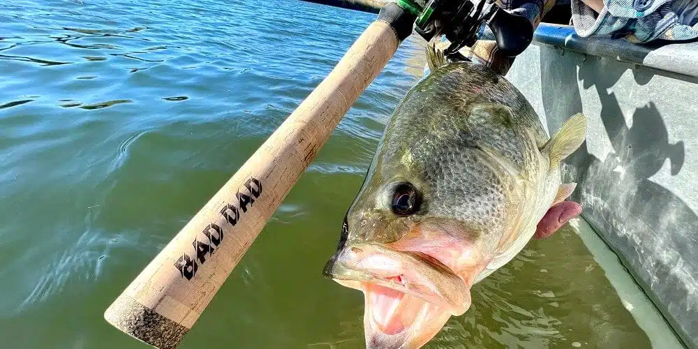 The Beginner’s Guide to Buying Saltwater Fishing Rods