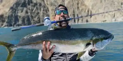 The Composition Structure Of Fishing Reels