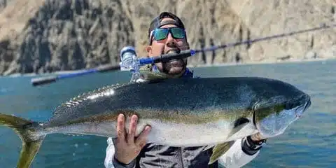 The Most Complete Guide to Tuna Fishing