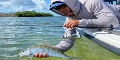 Gomexus Ultimate Beginner’s Guide to Fishing