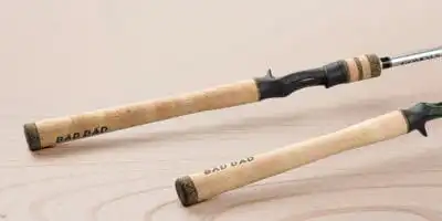 Things to note when buying a fishing rod for beginners 8 things to note when buying a fishing rod for beginners