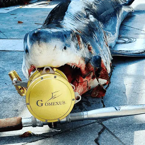 Deep Sea Fishing Gear for Beginners of 2023 4 What do I need to know before deep-sea fishing?