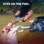 Landing and unhooking redfish safely with Gomexus G-Gripper E12 quick release fish gripper and pliers
